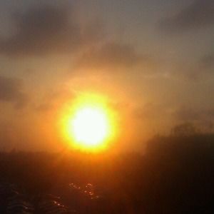 Meet your Posher, Krystle